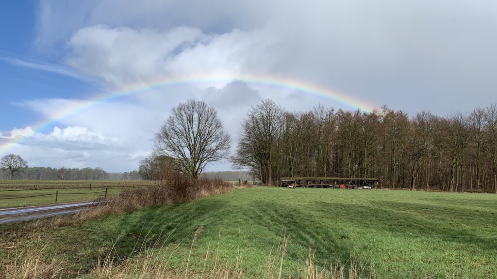 Deze afbeelding van een regenboog die zich beweegt tussen het grijs en het blauw illustreert onze weg naar betere tijden