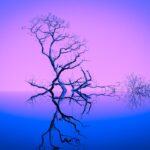 Een afbeelding van een boom die ‘inspiratie’ illustreert