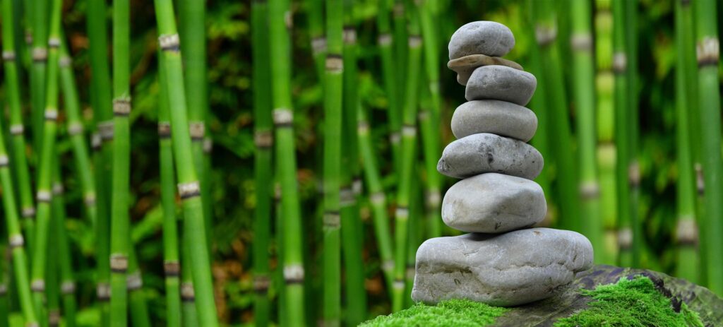 Stacked stones in front of a bamboo forest — header image for the My Lifestyle Guide blog post